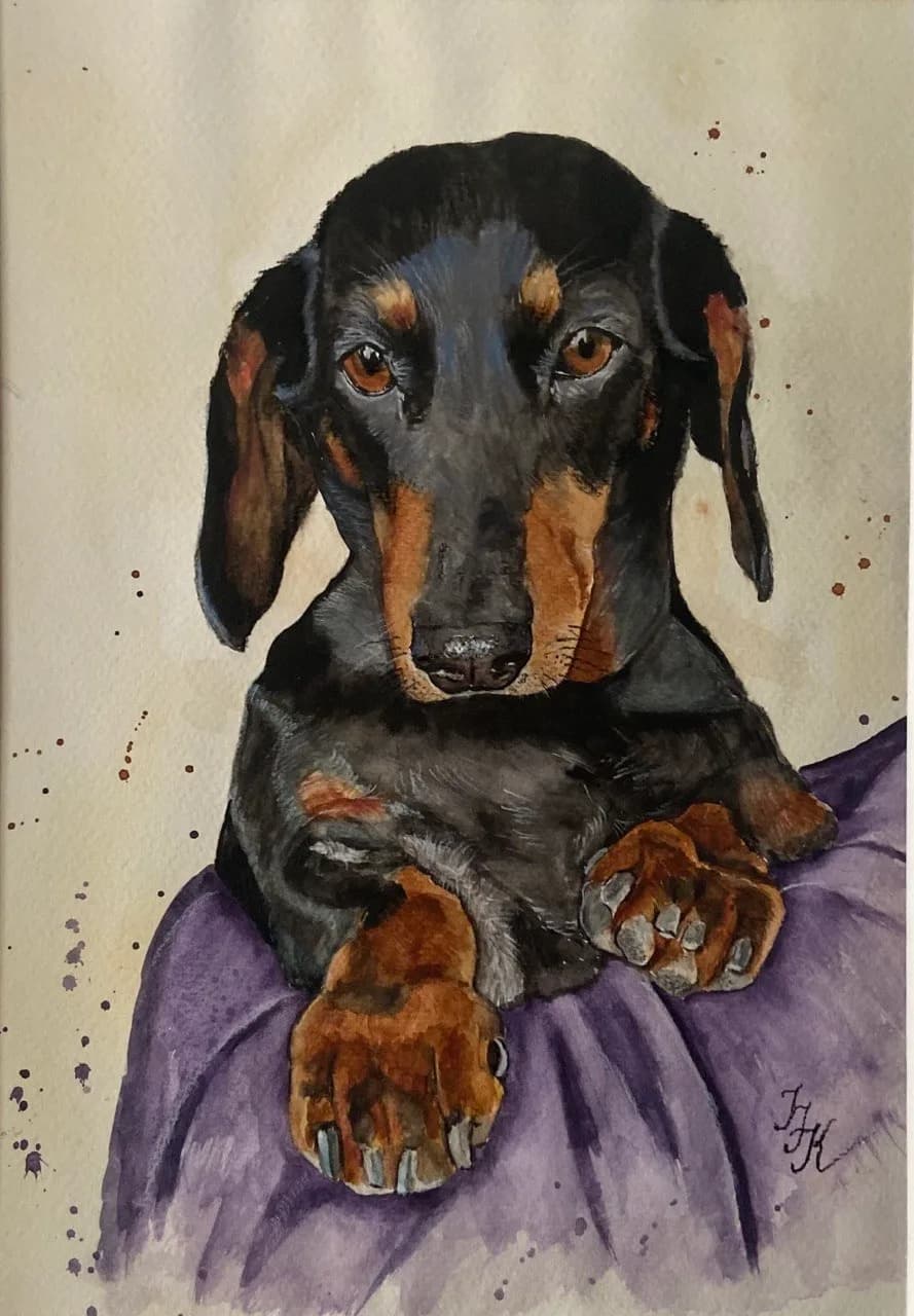 My sweet dog portrait